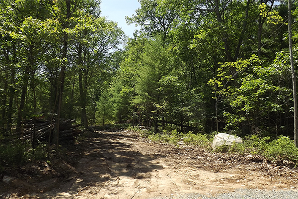 Land For Sale in Sullivan County