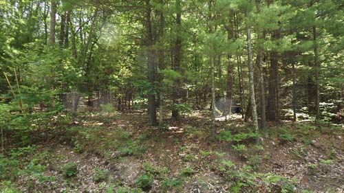 Land for Sale in Sullivan County, NY